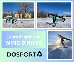 Winter WING 2024 introductory course