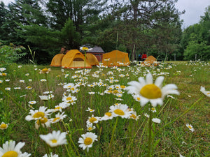 SUP camping dans le Parc national de la Mauricie