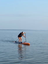 COURS-SUP ÉVOLUTION