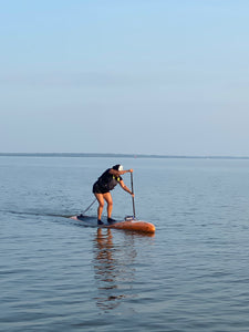 COURS-SUP ÉVOLUTION